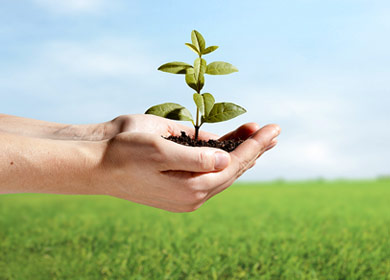 企業(yè)價(jià)值觀(guān)